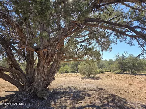 2 E Raney Rd, Ash Fork, AZ 86320 photo 10