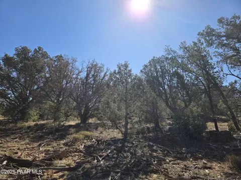 2 E Raney Rd, Ash Fork, AZ 86320 photo 5
