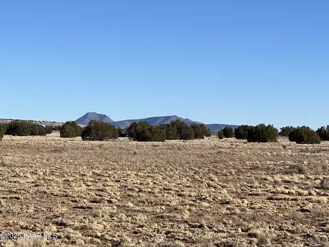 53402 N Carlita Dr, Seligman, AZ 86337