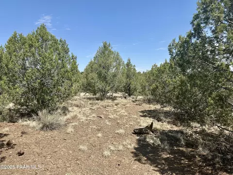 00 Denny 5 Ranch Rd, Seligman, AZ 86337