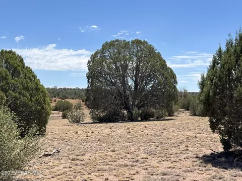 21 Off Of Cooks Trl, Ash Fork, AZ 86320 photo 2