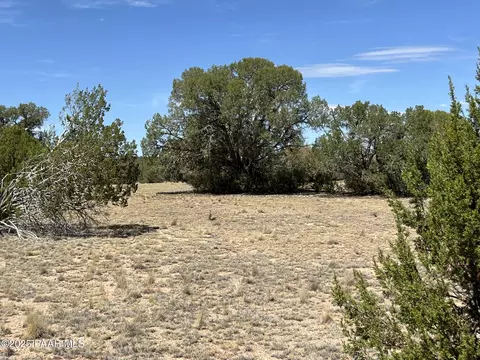 21 Off Of Cooks Trl, Ash Fork, AZ 86320 photo 4