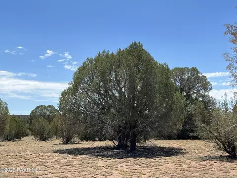 21 Off Of Cooks Trl, Ash Fork, AZ 86320 photo 7