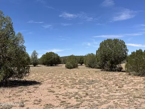 21 Off Of Cooks Trl, Ash Fork, AZ 86320 photo 12