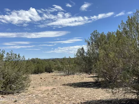 21 Off Of Cooks Trl, Ash Fork, AZ 86320 photo 8