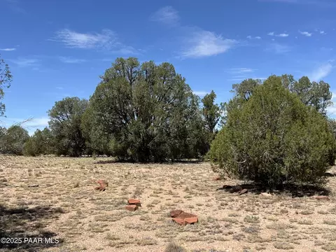 21 Off Of Cooks Trl, Ash Fork, AZ 86320 photo 10