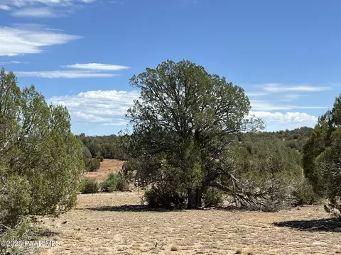 21 Off Of Cooks Trl, Ash Fork, AZ 86320 photo 11