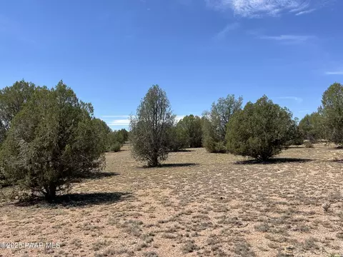 21 Off Of Cooks Trl, Ash Fork, AZ 86320 photo 6