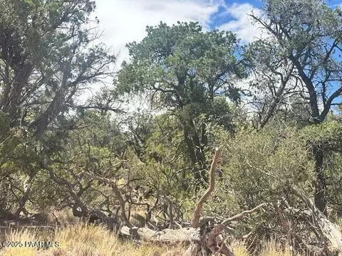 1020 Duffis Bluff Rd, Seligman, AZ 86337