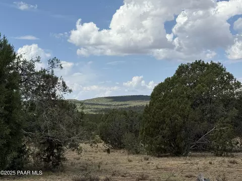 lot1461 Hog Heaven, Seligman, AZ 86337