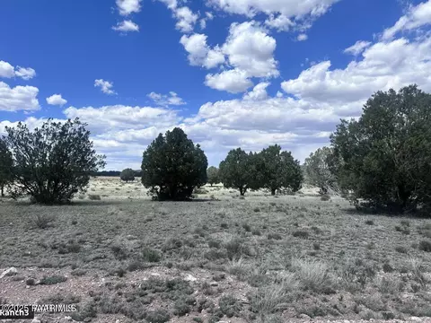 42 Trout Creek Tr, Seligman, AZ 86337