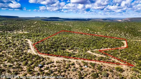 1399 N Thunder Ridge Ranch Rd, Seligman, AZ 86337