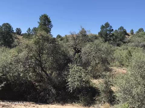 17570 S Oak Dr, Peeples Valley, AZ 86332 photo 9