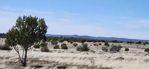 644 Cortez Ranch Rd, Ash Fork, AZ 86320 photo 5