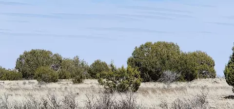 644 Cortez Ranch Rd, Ash Fork, AZ 86320 photo 3