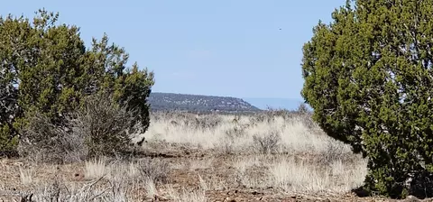 644 Cortez Ranch Rd, Ash Fork, AZ 86320 photo 2