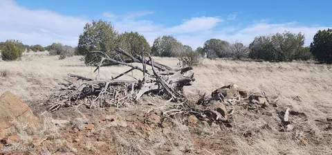 644 Cortez Ranch Rd, Ash Fork, AZ 86320 photo 12