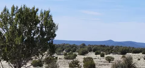 644 Cortez Ranch Rd, Ash Fork, AZ 86320 photo 6
