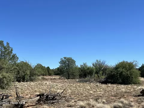9 Off Ranch Rd # A, Ash Fork, AZ 86320 photo 5
