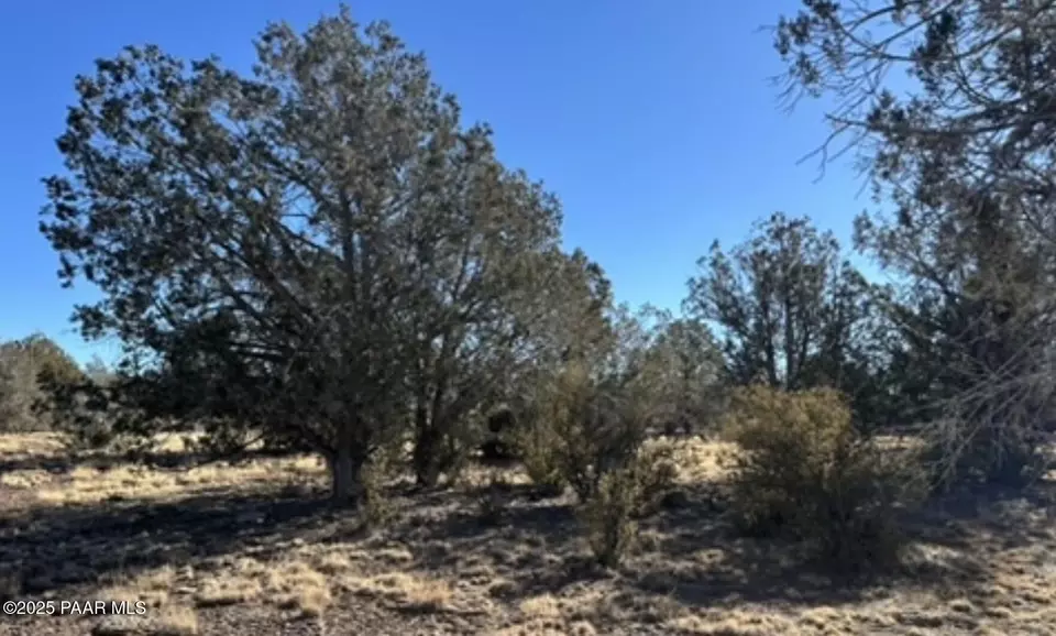  3527 N Claire Way, Williams, AZ 86046 photo 3