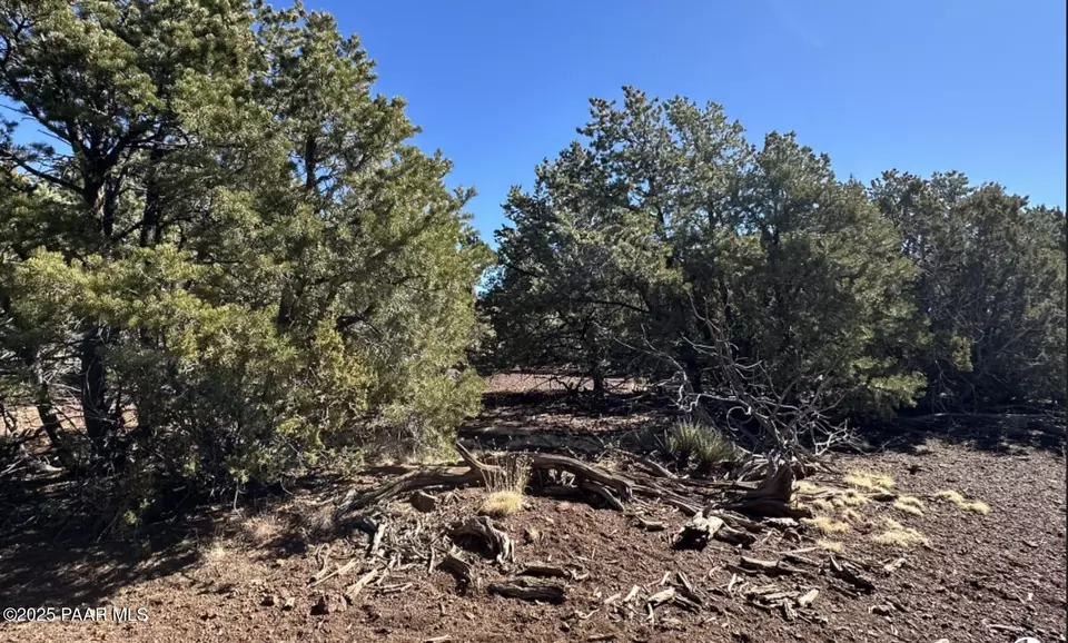  3527 N Claire Way, Williams, AZ 86046 photo 2