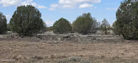 64 Antelope Run, Ash Fork, AZ 86320 photo 11