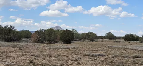 64 Antelope Run, Ash Fork, AZ 86320 photo 9