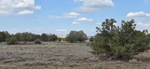 64 Antelope Run, Ash Fork, AZ 86320 photo 10