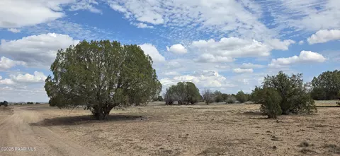 64 Antelope Run, Ash Fork, AZ 86320 photo 21