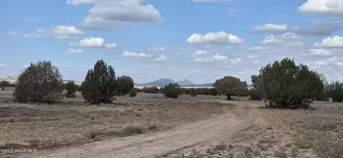 64 Antelope Run, Ash Fork, AZ 86320 photo 16