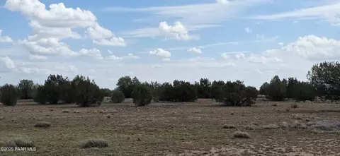 64 Antelope Run, Ash Fork, AZ 86320 photo 13