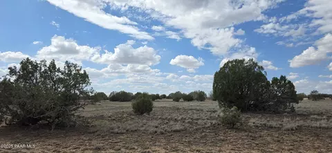 64 Antelope Run, Ash Fork, AZ 86320 photo 20