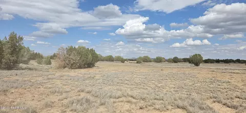 64 Antelope Run, Ash Fork, AZ 86320 photo 7