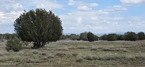 64 Antelope Run, Ash Fork, AZ 86320 photo 14