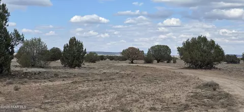 64 Antelope Run, Ash Fork, AZ 86320 photo 12