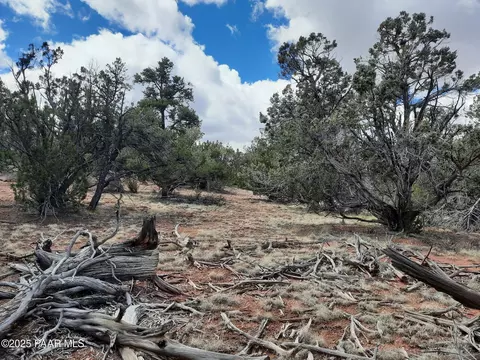 55660 N La Bruja Rd, Seligman, AZ 86337