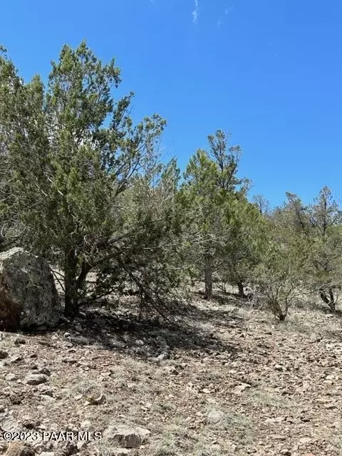 32727 W Bucks Rd, Seligman, AZ 86337