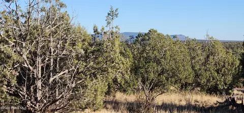 88 Rose Ln # -A, Ash Fork, AZ 86320 photo 3