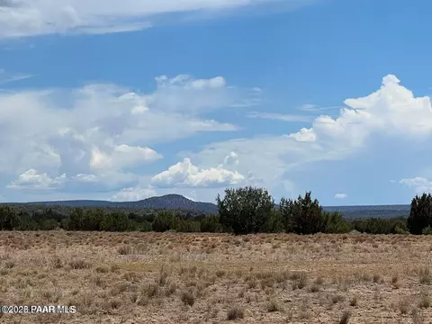 10 NW Chain Ranch Rd, Ash Fork, AZ 86320 photo 3