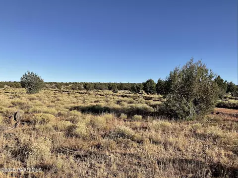 886 SE Cable Rd, Williams, AZ 86046 photo 4