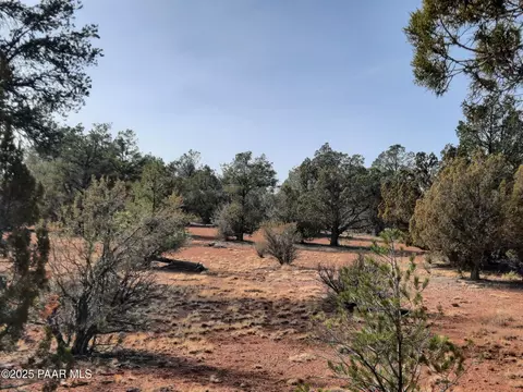 55193 N Campana Cir, Seligman, AZ 86337