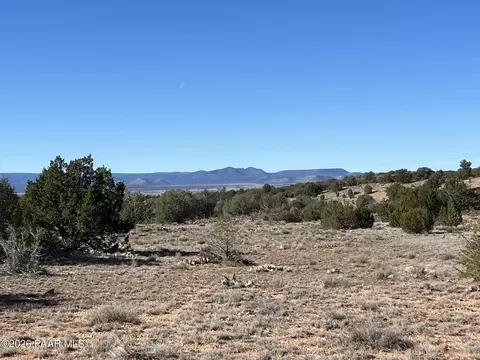 298 Quartz Hill Rd, Ash Fork, AZ 86320 photo 8