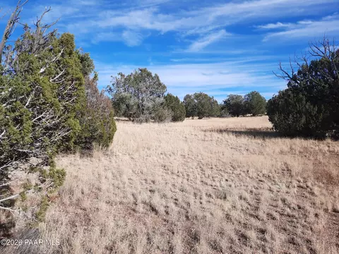 31616 W Calle Barril, Seligman, AZ 86337