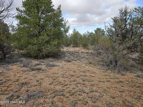 56450 N Shadow Mountain Pkwy, Seligman, AZ 86337