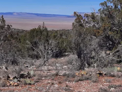 lot928 Bridge Canyon Pkwy, Seligman, AZ 86337