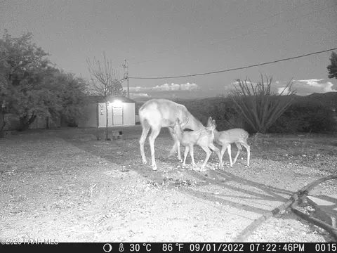 20921 E Sky View Ln, Mayer, AZ 86333 photo 44