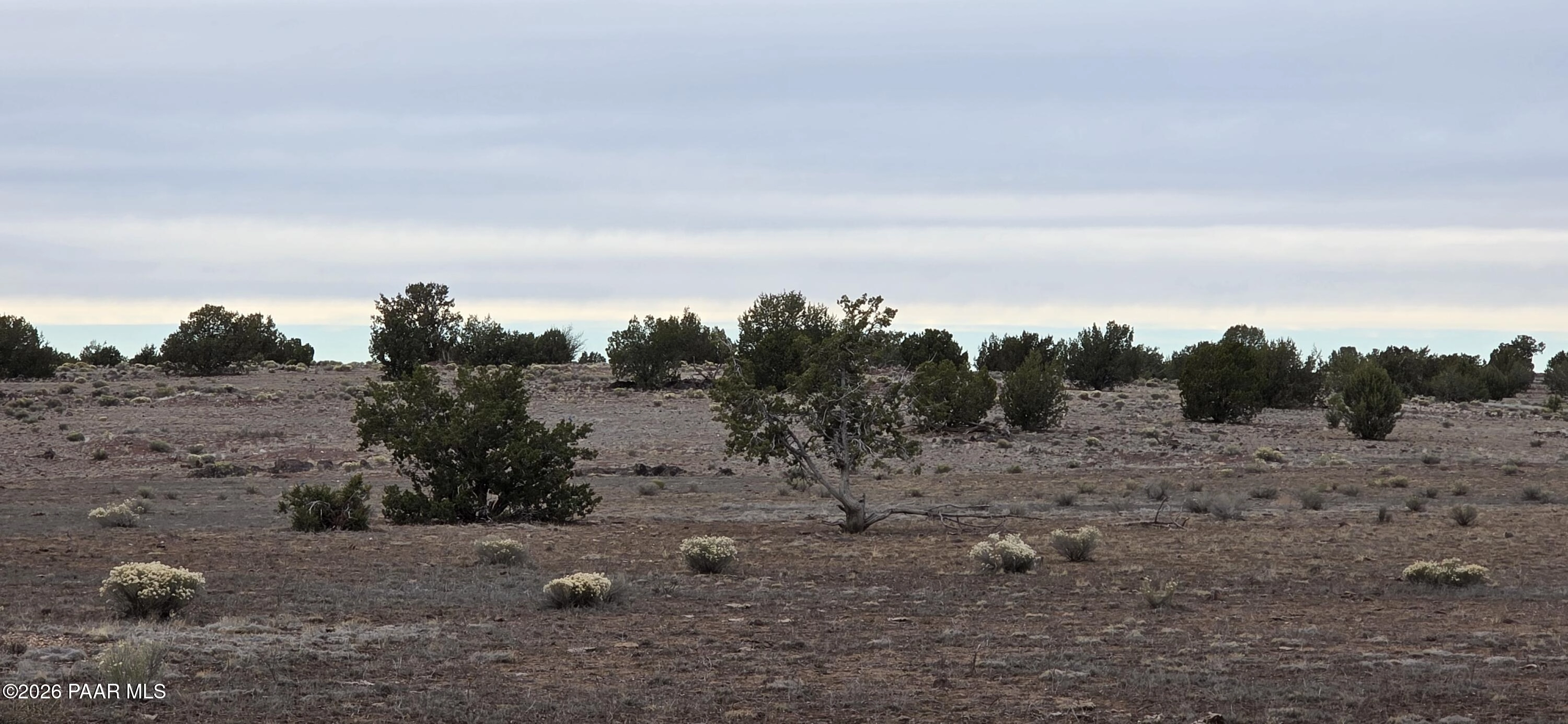 214 Juniper Woods, Ash Fork, AZ 86320 photo 7