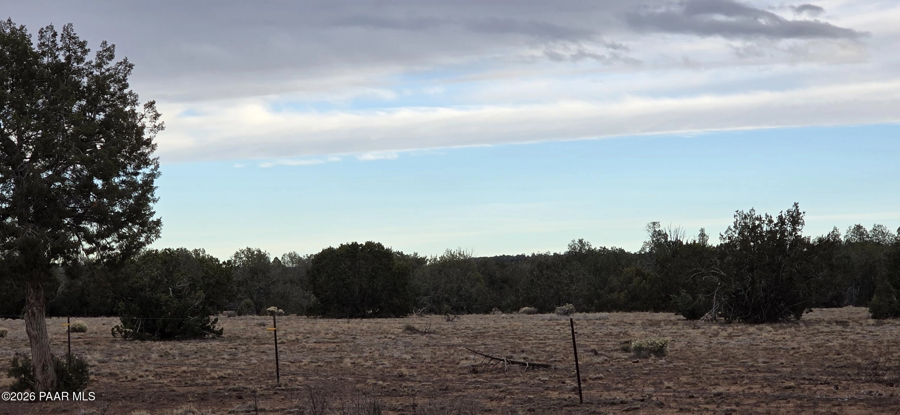 214 Juniper Woods, Ash Fork, AZ 86320 photo 3