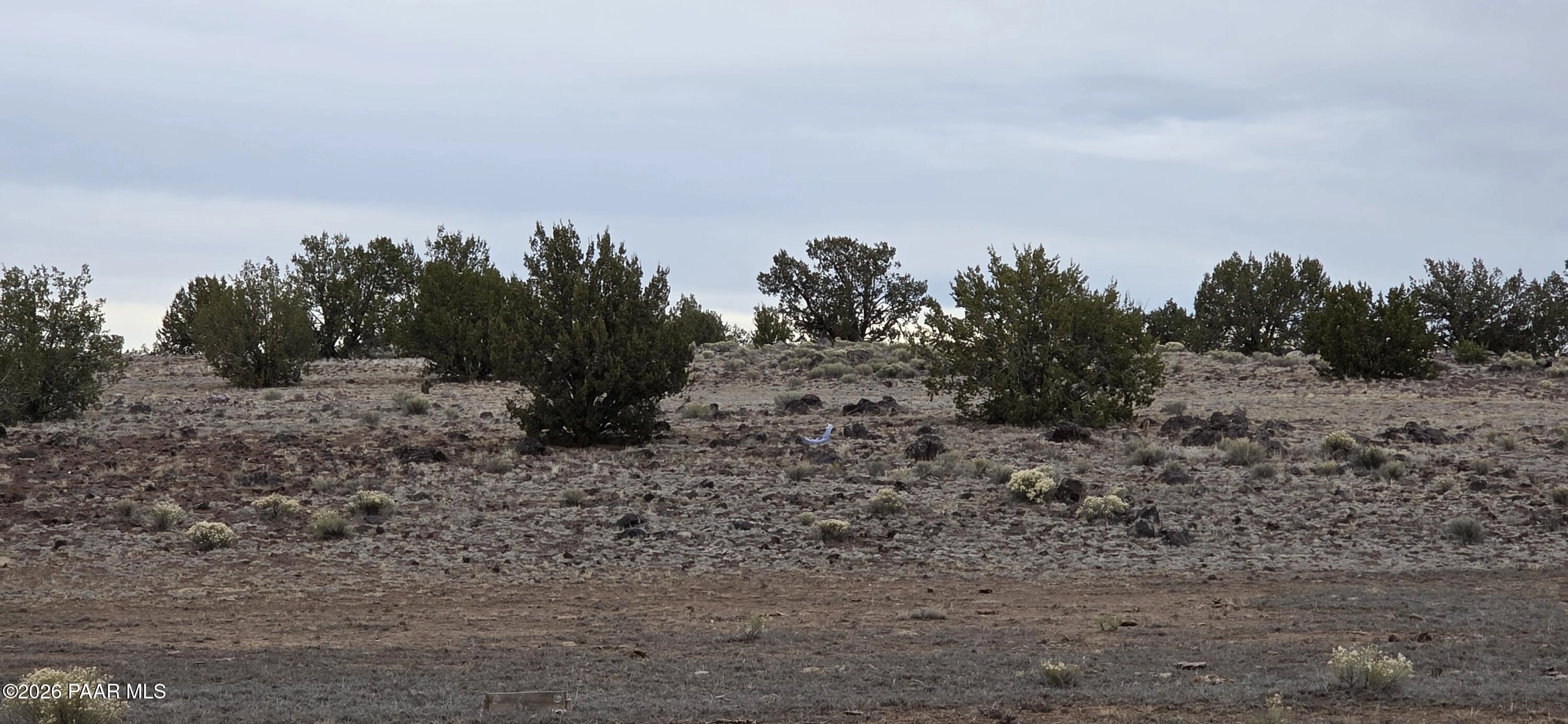 214 Juniper Woods, Ash Fork, AZ 86320 photo 10