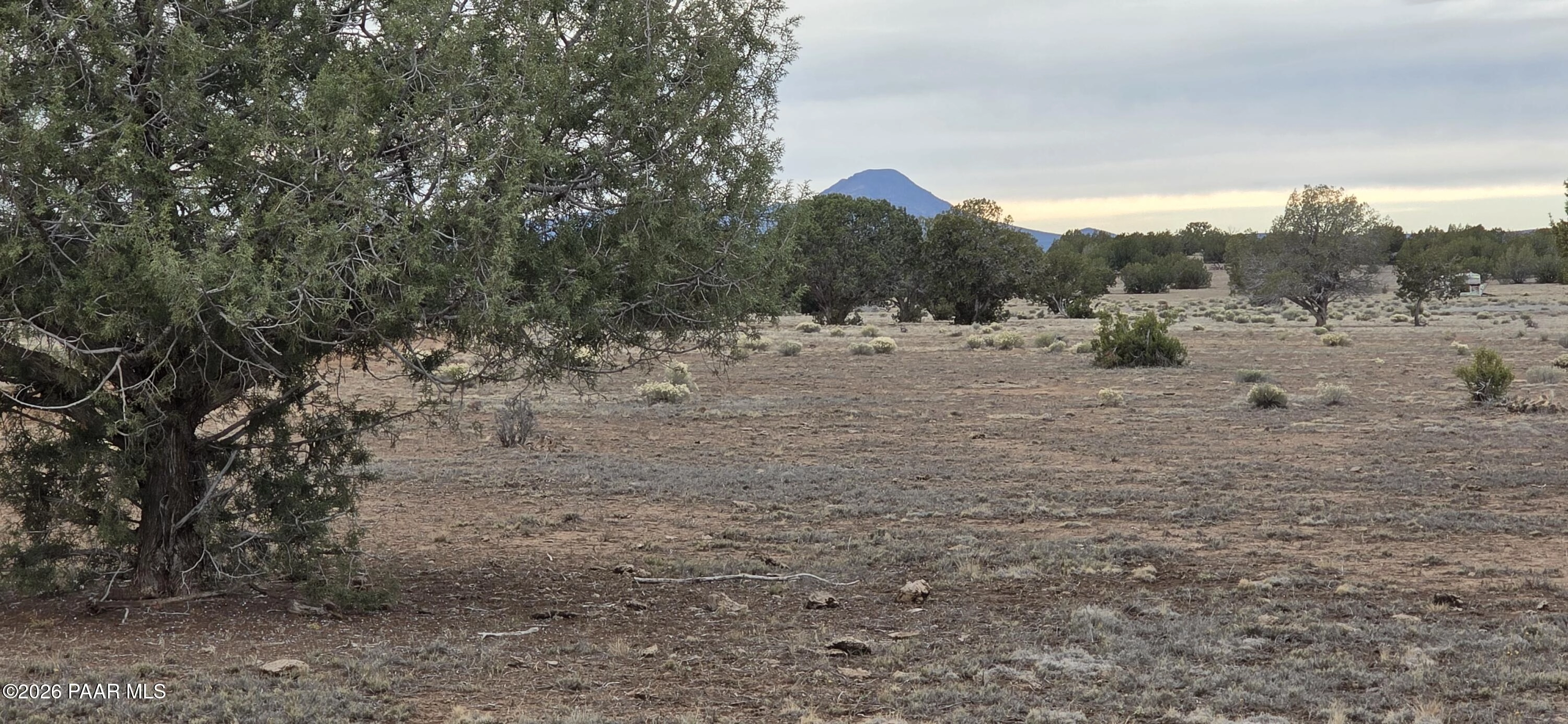 214 Juniper Woods, Ash Fork, AZ 86320 photo 12